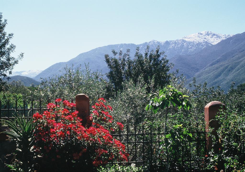 Domaine De La Roseraie Resort Ouirgane Exterior foto